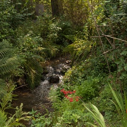 Gégé's garden
